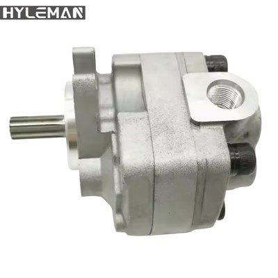 Črpalka hidravlične zobnike ustreza 300-8